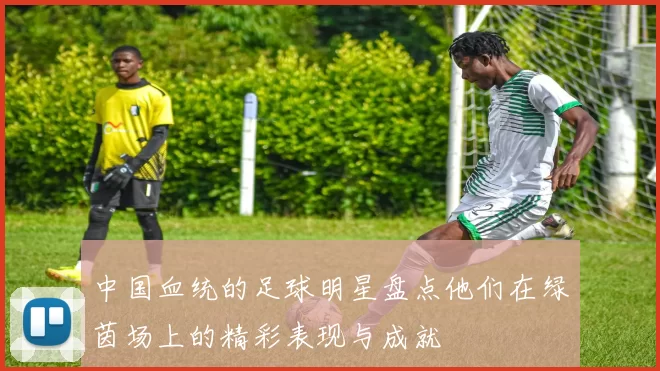 中国血统的足球明星盘点他们在绿茵场上的精彩表现与成就