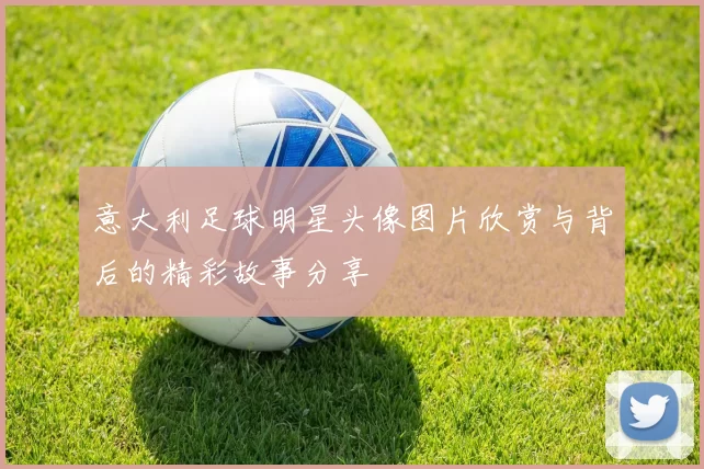 意大利足球明星头像图片欣赏与背后的精彩故事分享