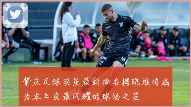 肇庆足球明星最新排名揭晓谁将成为本年度最闪耀的球场之星