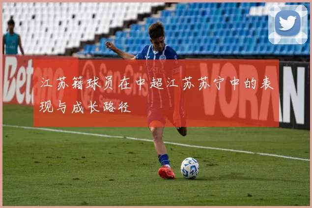江苏籍球员在中超江苏苏宁中的表现与成长路径
