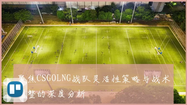 聚焦CSGOLNG战队灵活性策略与战术调整的深度分析