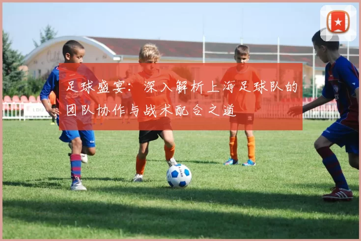 足球盛宴：深入解析上海足球队的团队协作与战术配合之道