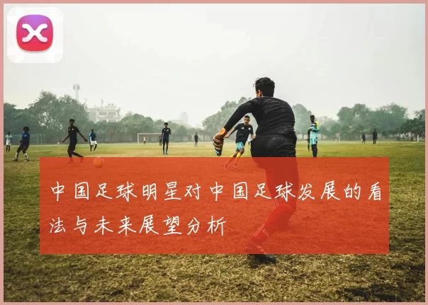 中国足球明星对中国足球发展的看法与未来展望分析