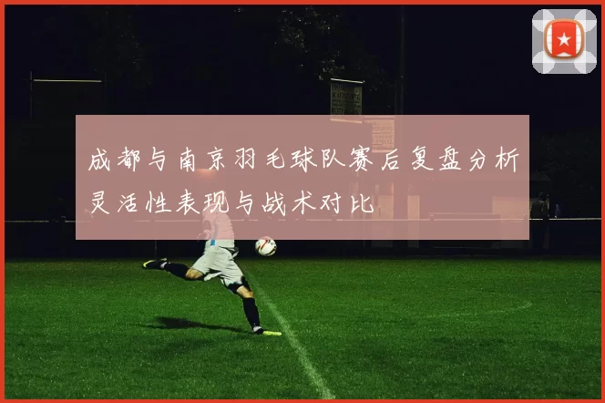 成都与南京羽毛球队赛后复盘分析灵活性表现与战术对比