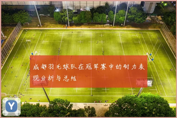 成都羽毛球队在冠军赛中的耐力表现分析与总结