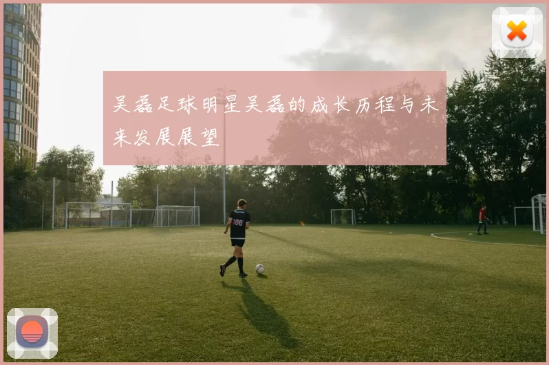 吴磊足球明星吴磊的成长历程与未来发展展望