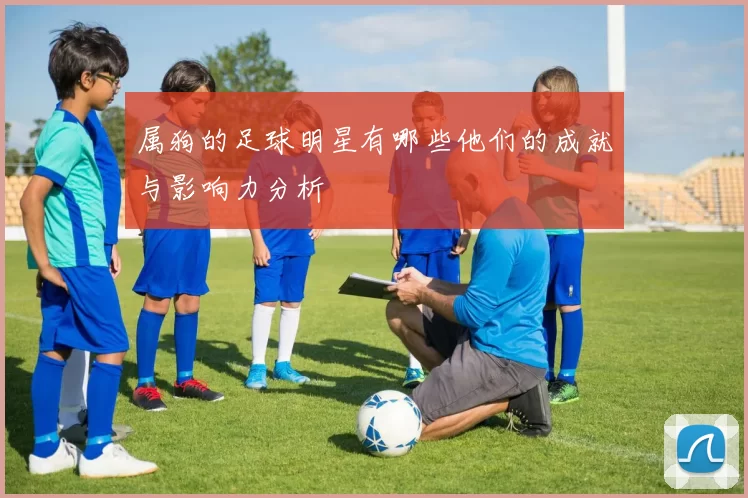 属狗的足球明星有哪些他们的成就与影响力分析