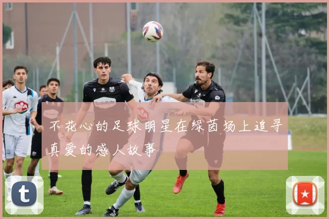 不花心的足球明星在绿茵场上追寻真爱的感人故事