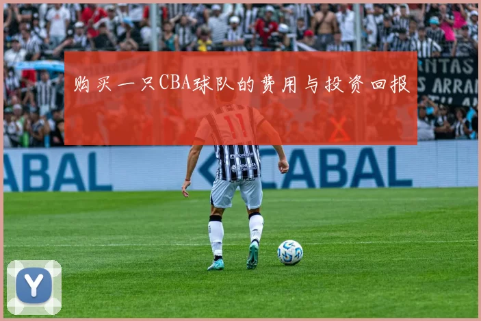 购买一只CBA球队的费用与投资回报